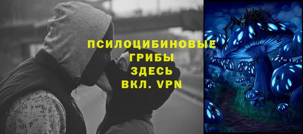 соль ск Алексин