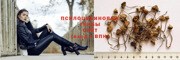 мет Алзамай