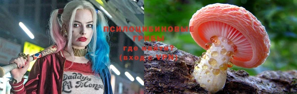 соль ск Алексин