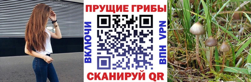Галлюциногенные грибы Magic Shrooms  Пермь 